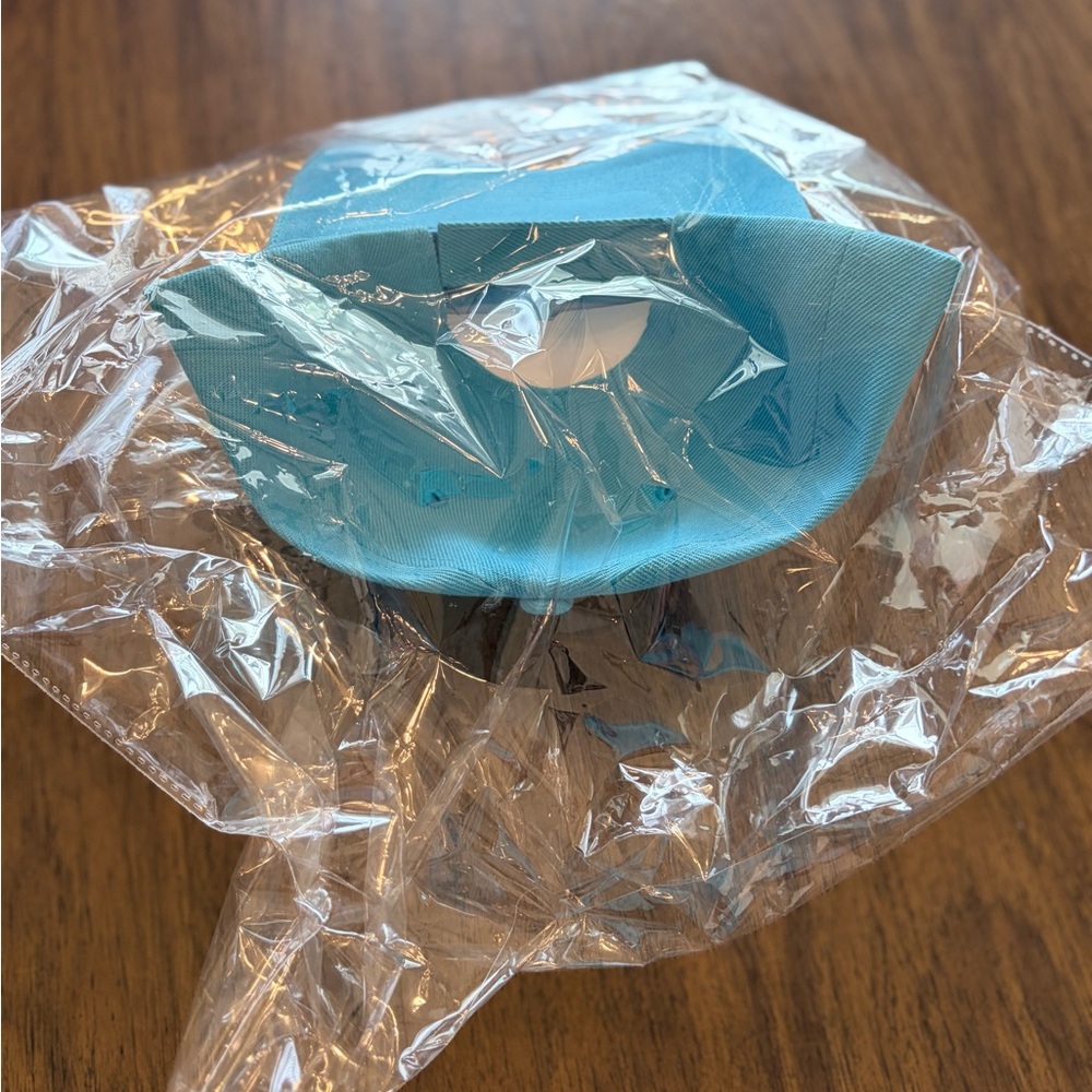 Light Blue Cap - image 3